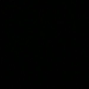 Meet your Posher, Izabel